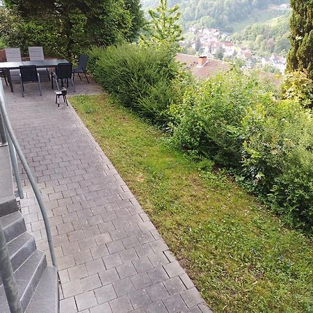 Das Tor Zum Odenwald Gorxheimertal Buitenkant foto