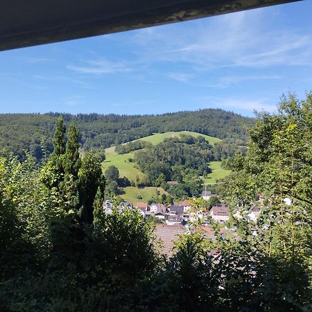 Das Tor Zum Odenwald Gorxheimertal Buitenkant foto