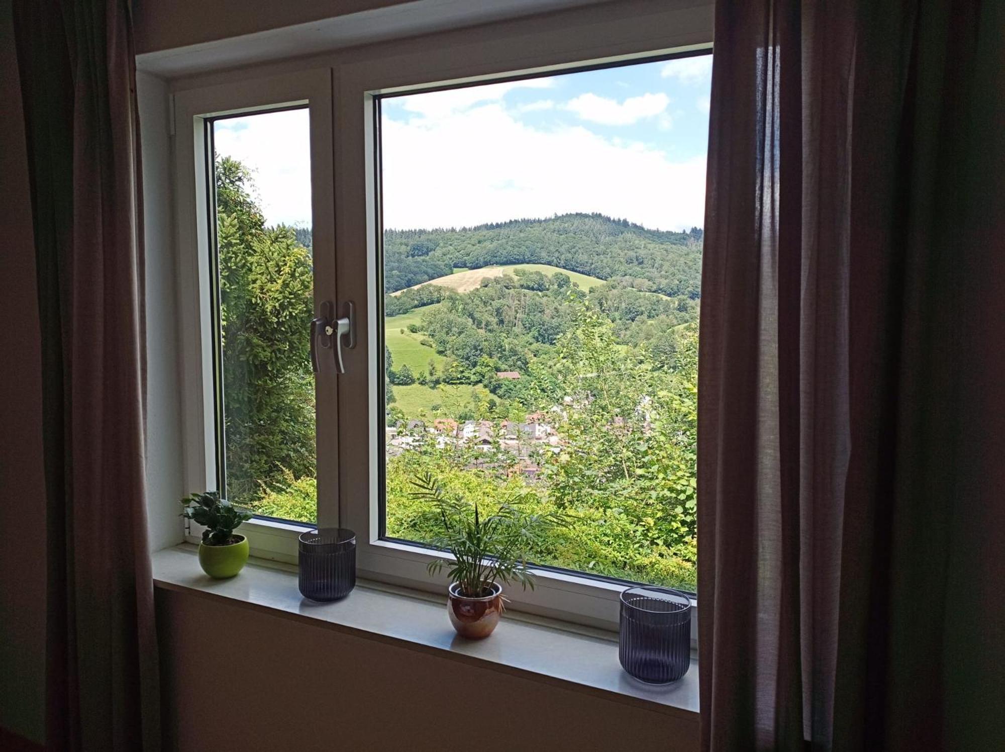Das Tor Zum Odenwald Gorxheimertal Buitenkant foto