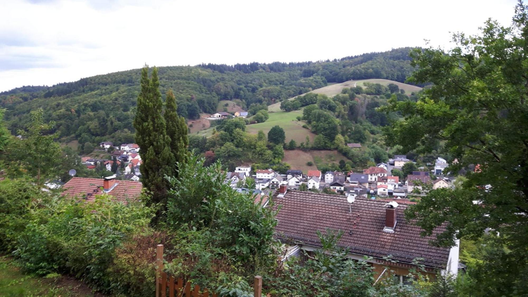 Das Tor Zum Odenwald Gorxheimertal Buitenkant foto